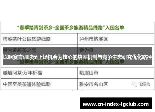 以联赛青训球员上场机会为核心的培养机制与竞争生态研究优化路径