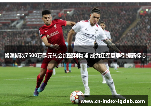 努涅斯以7500万欧元转会加盟利物浦 成为红军夏季引援新标志