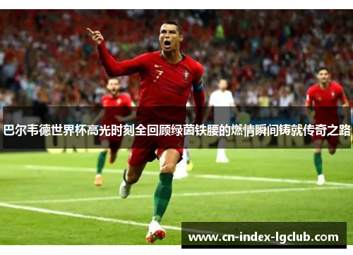 巴尔韦德世界杯高光时刻全回顾绿茵铁腰的燃情瞬间铸就传奇之路 巴尔韦德世界杯高光时刻全回顾绿茵铁腰的燃情瞬间铸就传奇之路