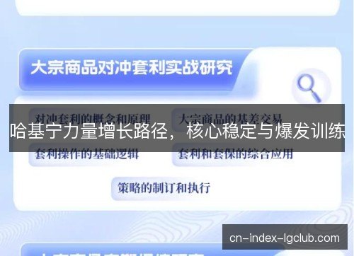 哈基宁力量增长路径，核心稳定与爆发训练