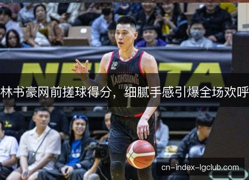 林书豪网前搓球得分，细腻手感引爆全场欢呼